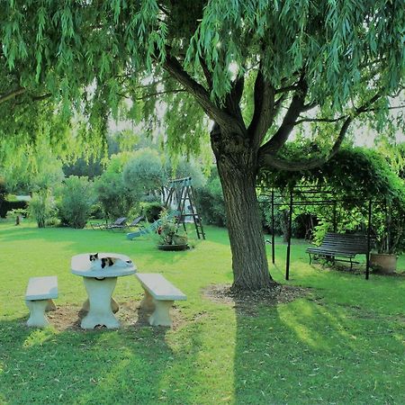 Gites Maisons De Vacances Domaine La Chamade קרפנטרה מראה חיצוני תמונה